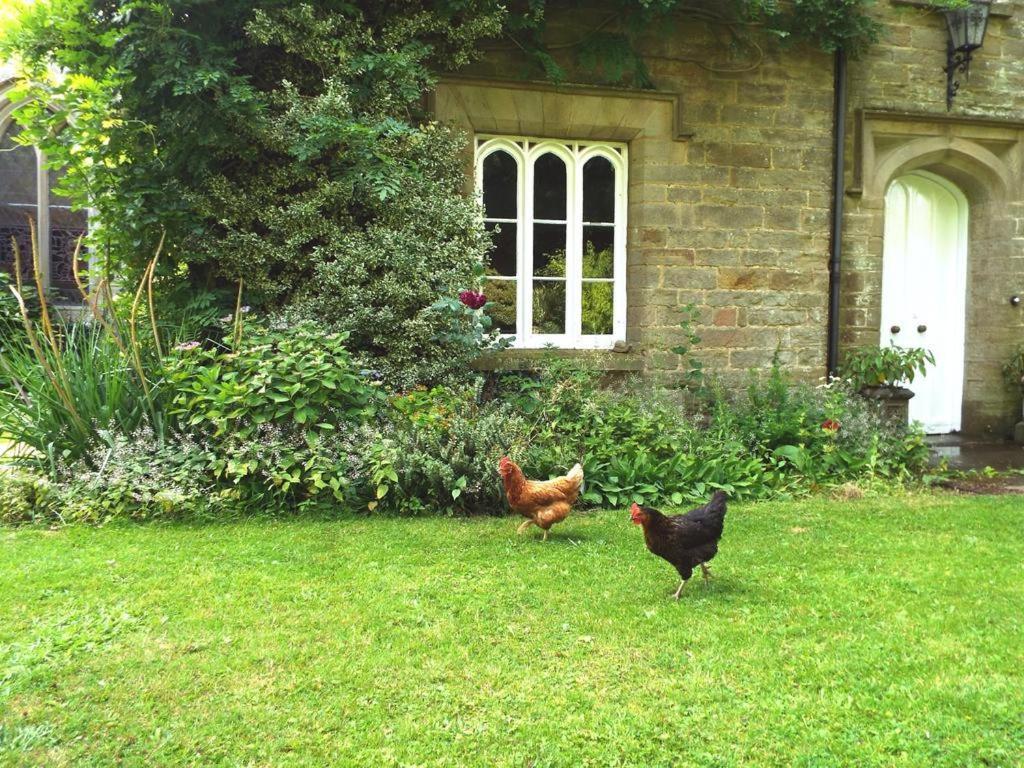 Old Vicarage B&B Coleford  Eksteriør billede